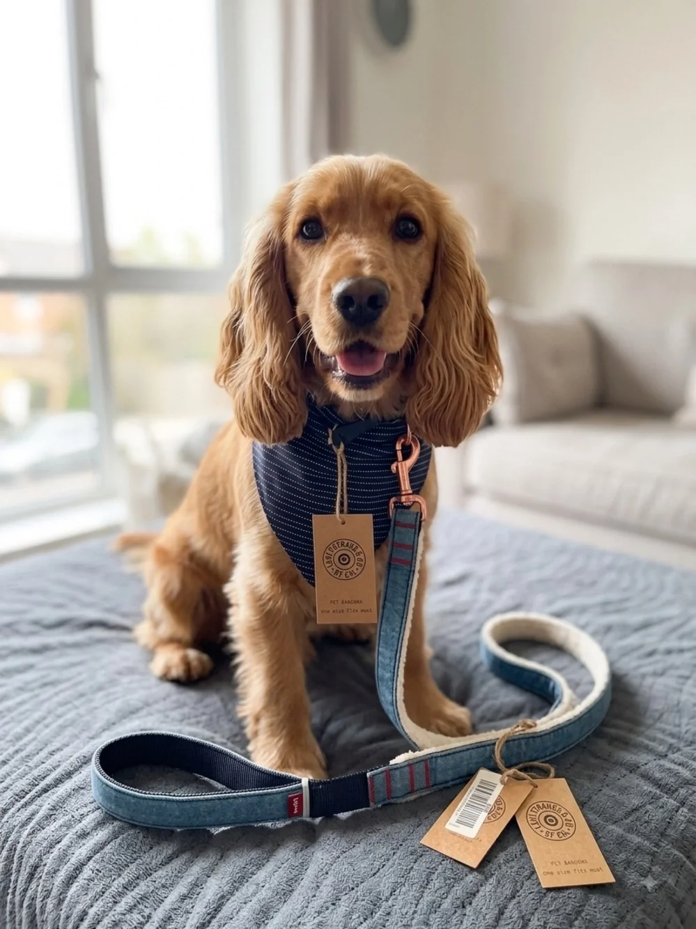 Levi’s Denim Blue Dog Leash, matching bandanna Set and bag